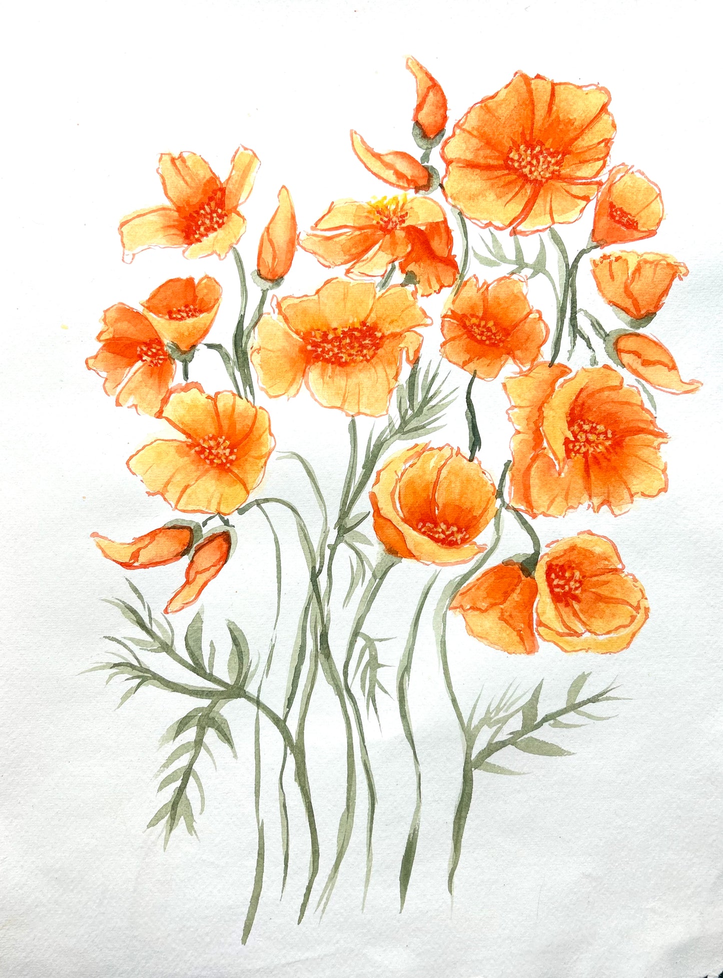 Golden Poppies 1 Original Watercolor Painting - 11x15"