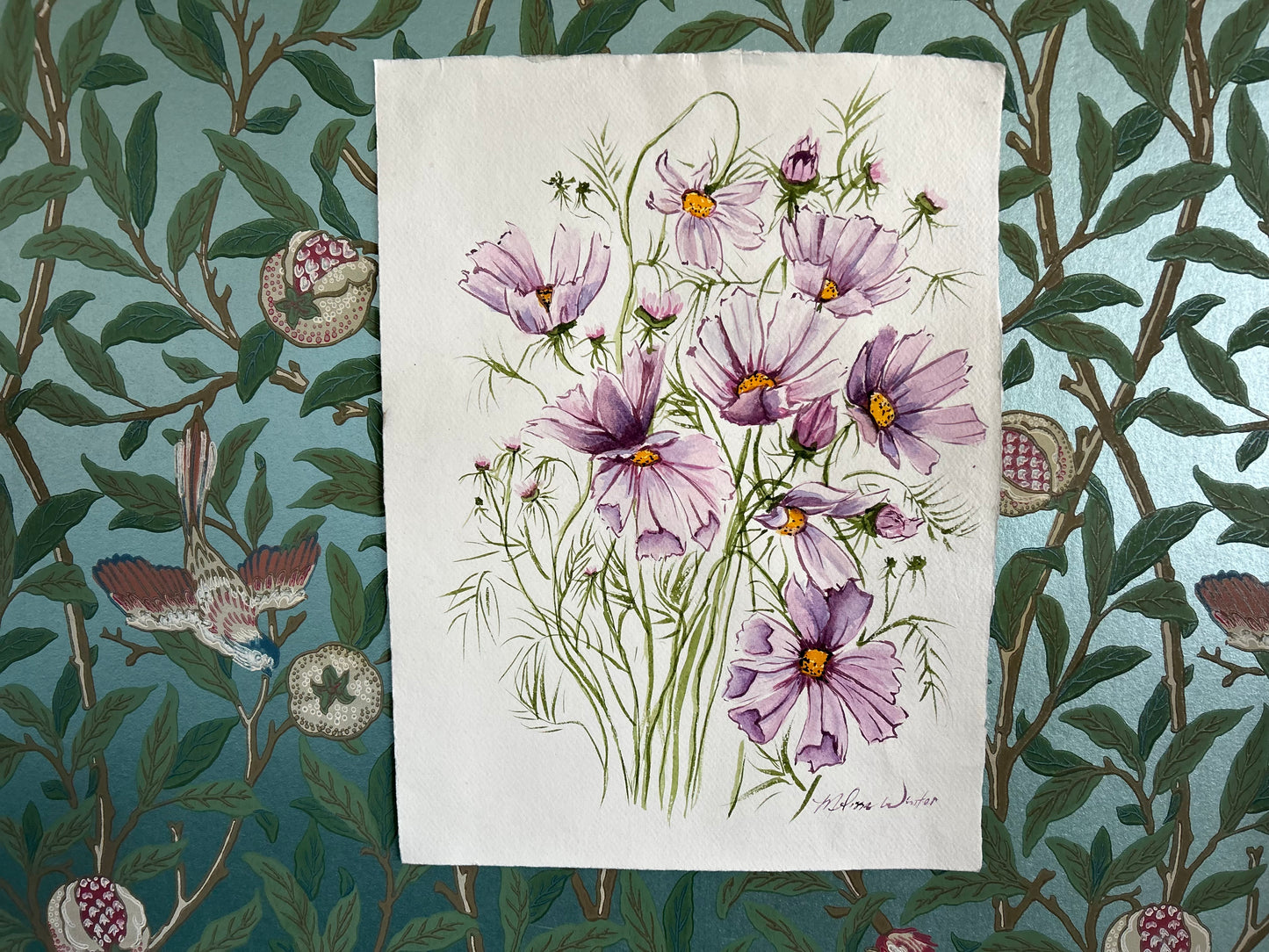 Lilac Cosmos Original Watercolor Painting