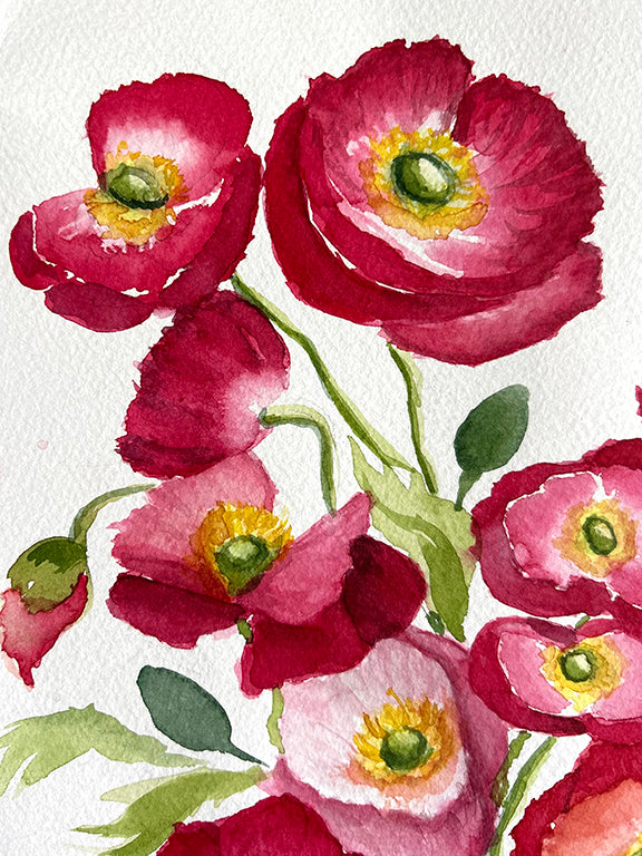 Red Shirley Poppies Original Watercolor Painting - 11x15"