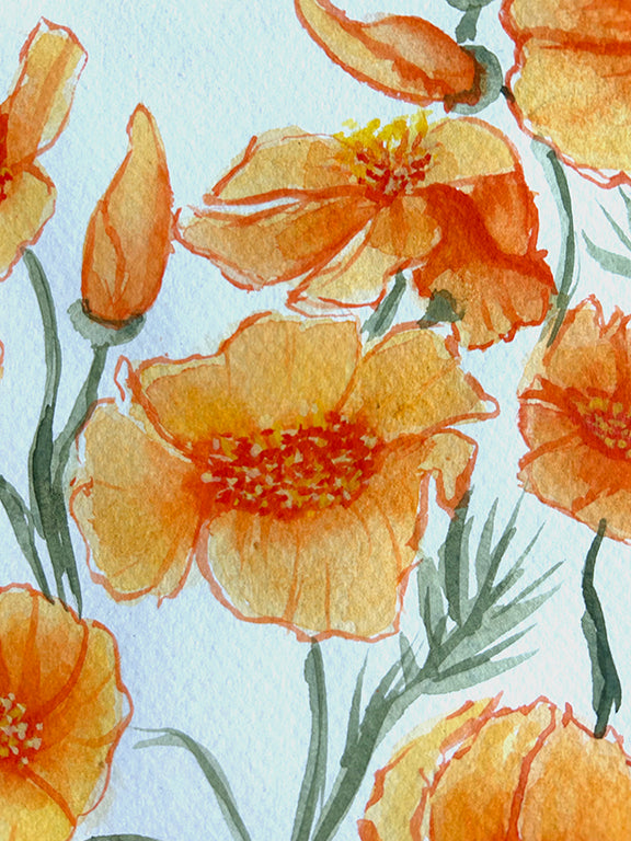 Golden Poppies 1 Original Watercolor Painting - 11x15"