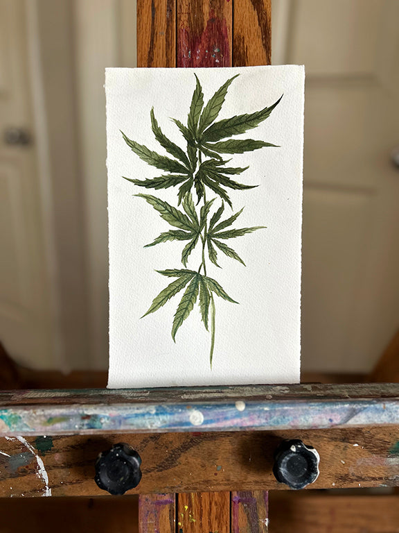 Cannabis Plant Original Watercolor Painting 6x10"