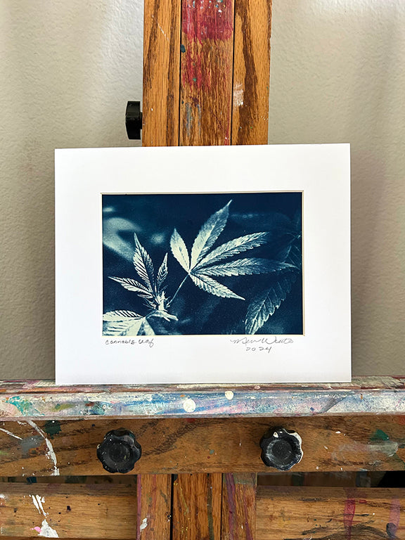 Cannabis Leaf Handmade Cyanotype on White Paper 1 - 8x10"