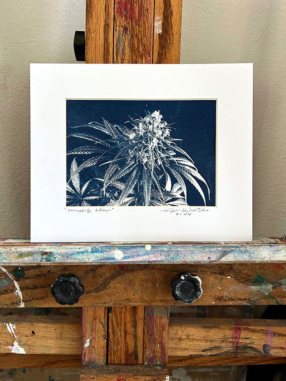 Cannabis Bloom Handmade Cyanotype on White Paper 1 - 8x10"