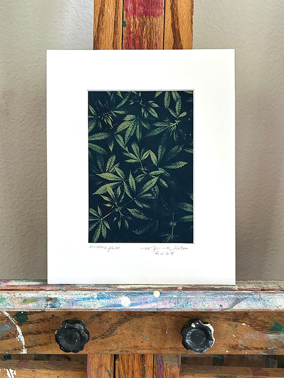 Cannabis Field Handmade Cyanotype on Olive Paper 1 - 8x10"