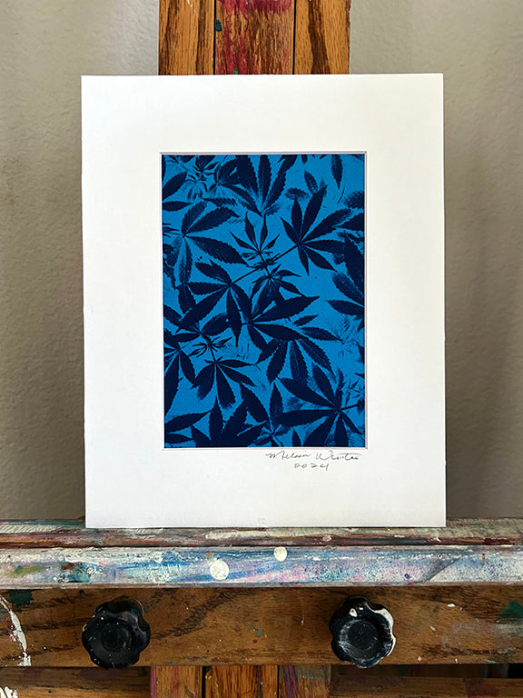 Cannabis Field Handmade Cyanotype on Bright Blue Paper 2 - 8x10"