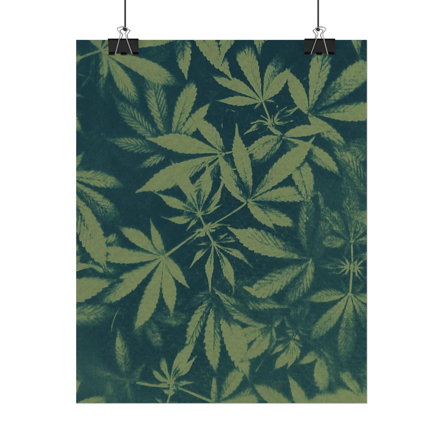 Fine Art Reproductions - Archival, Textured Watercolor Matte Prints - Cannabis Cyanotype on Olive Print