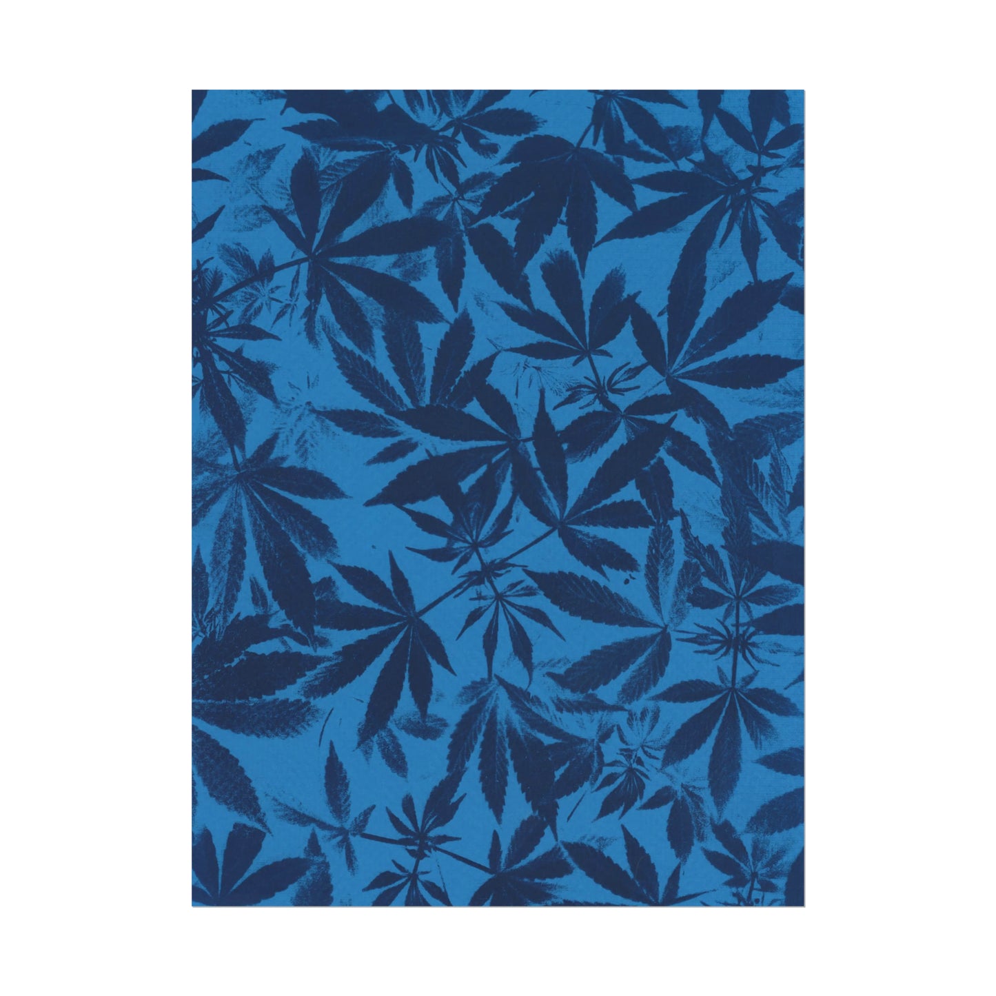 Fine Art Reproductions - Archival, Textured Watercolor Matte Prints - Cannabis Cyanotype on Bright Blue Print