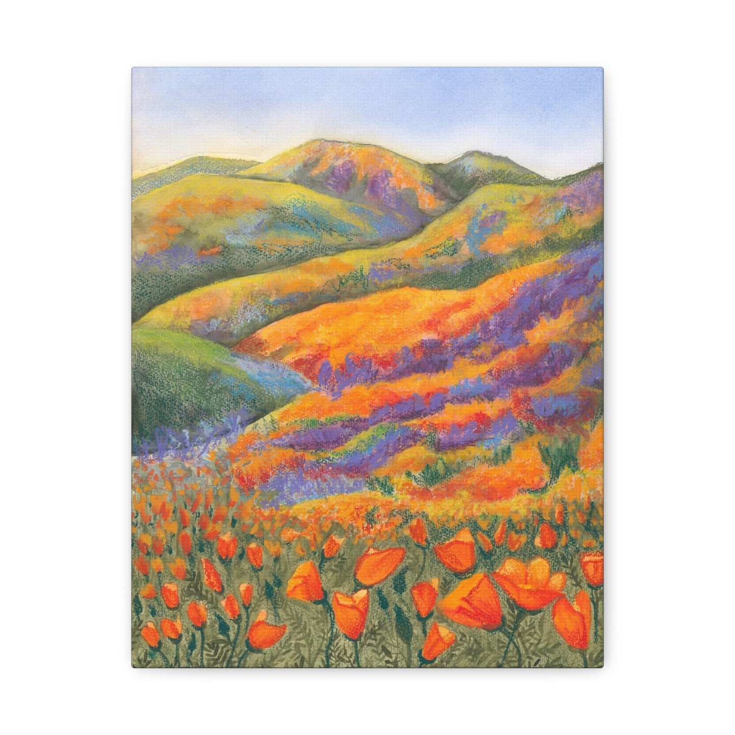 Canvas Gallery Wrap Prints - Superbloom