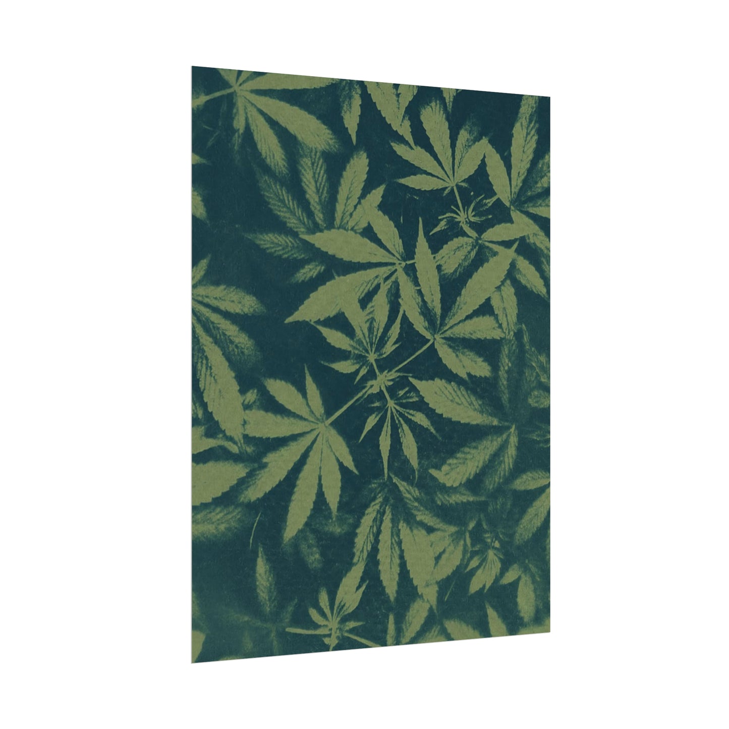 Fine Art Reproductions - Archival, Textured Watercolor Matte Prints - Cannabis Cyanotype on Olive Print