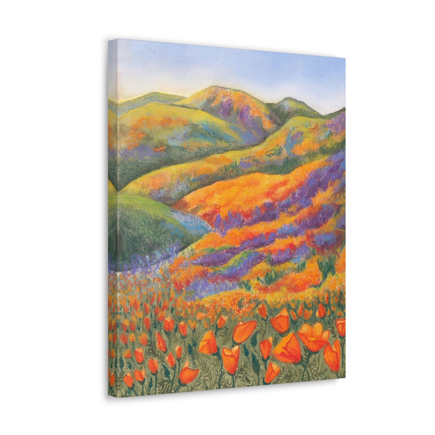 Canvas Gallery Wrap Prints - Superbloom