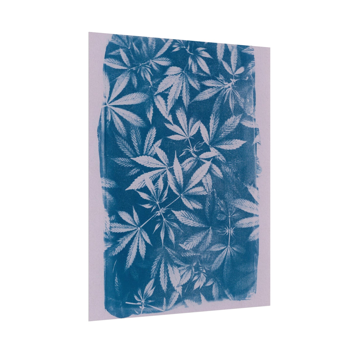 Fine Art Reproductions - Archival, Textured Watercolor Matte Prints - Cannabis Cyanotype on Lavender Print