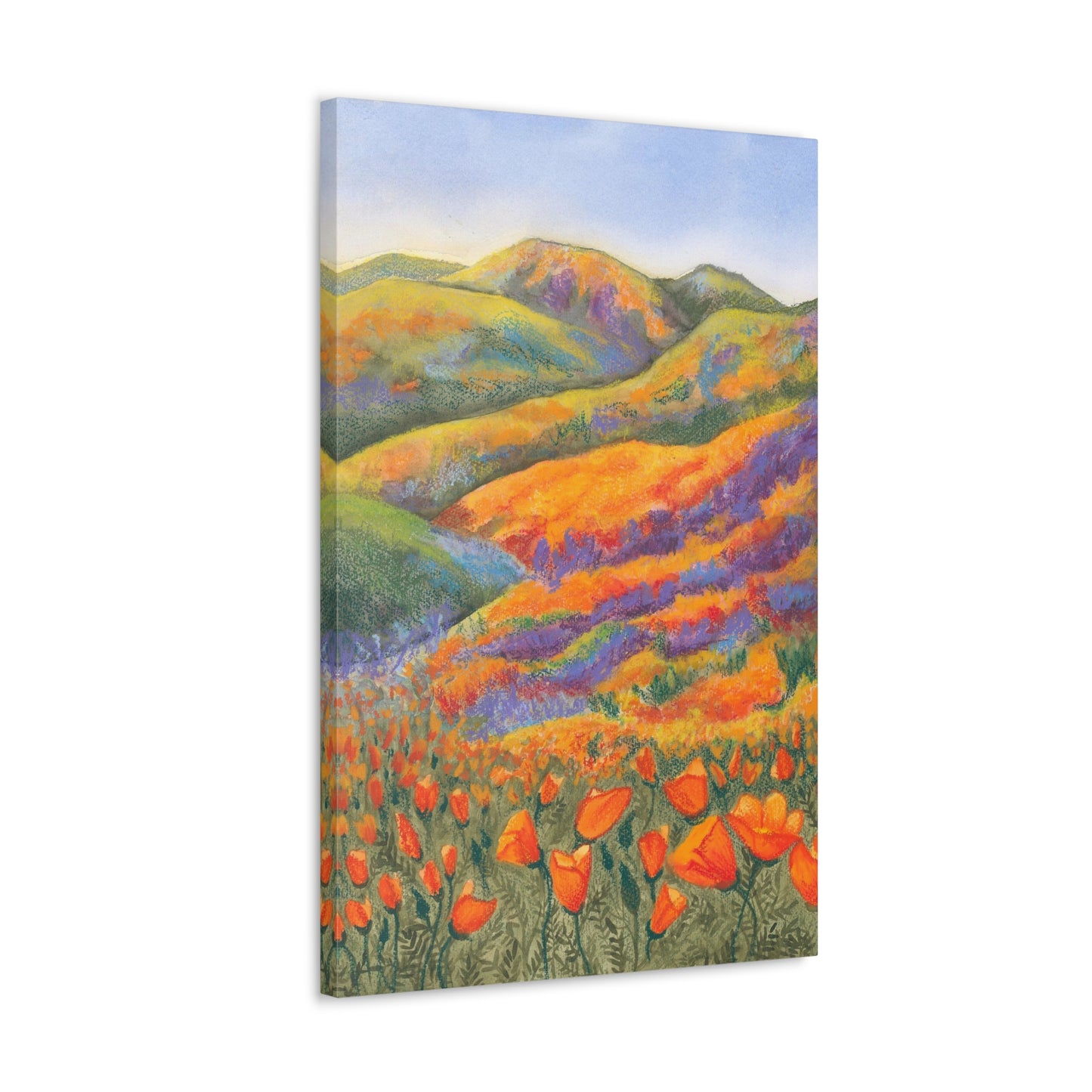 Canvas Gallery Wrap Prints - Superbloom