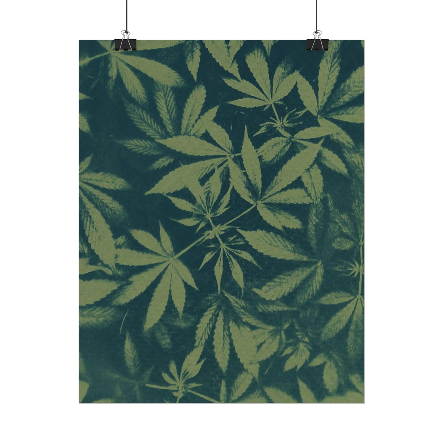 Fine Art Reproductions - Archival, Textured Watercolor Matte Prints - Cannabis Cyanotype on Olive Print