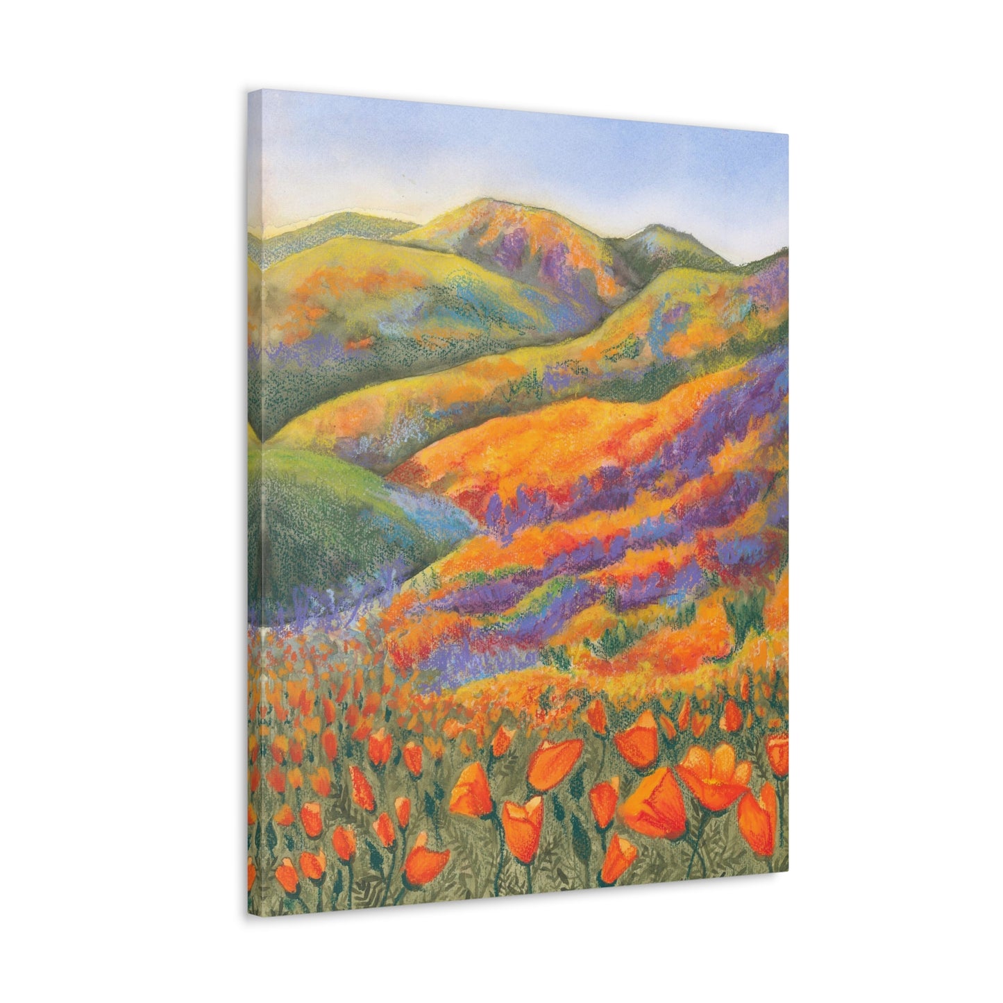 Canvas Gallery Wrap Prints - Superbloom