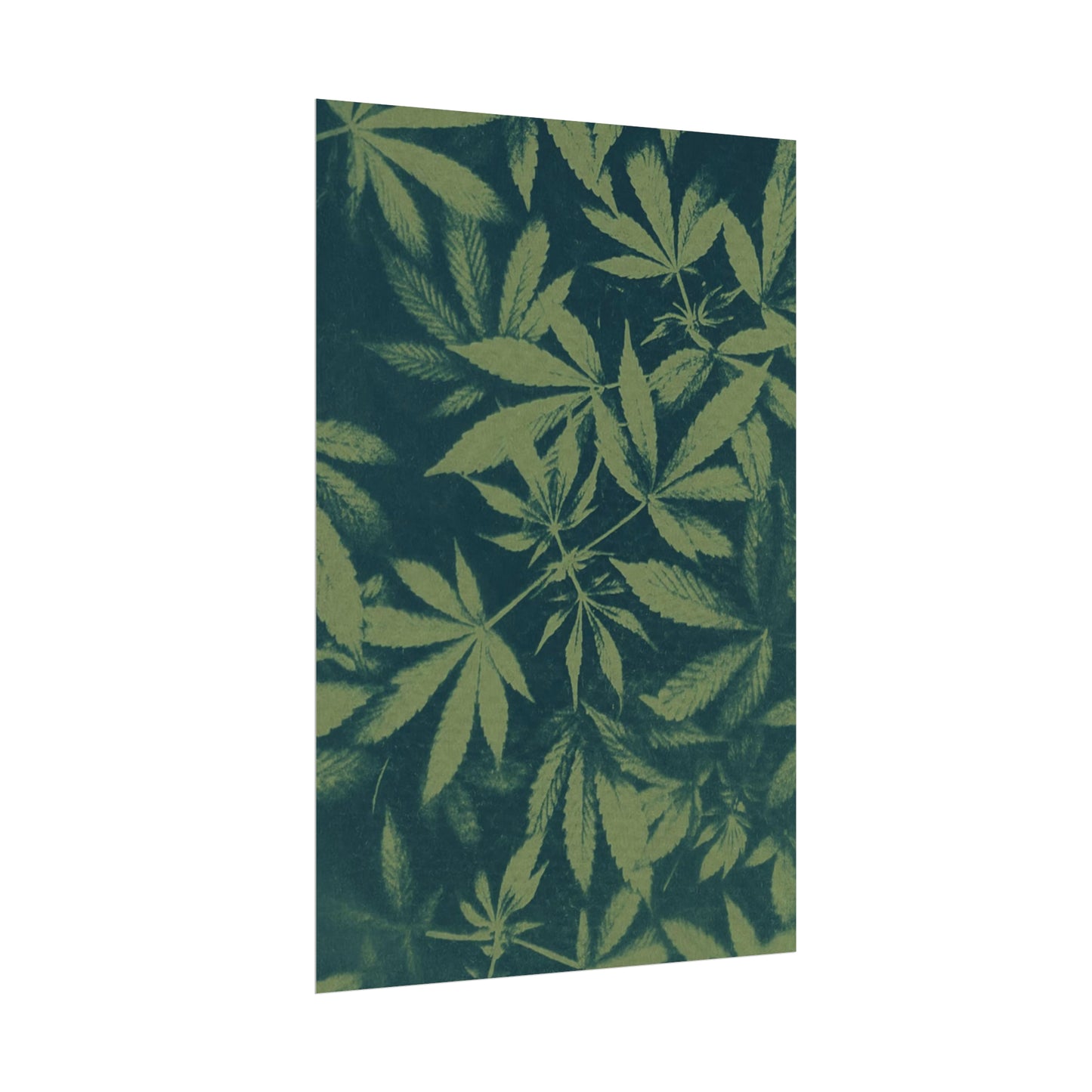 Fine Art Reproductions - Archival, Textured Watercolor Matte Prints - Cannabis Cyanotype on Olive Print