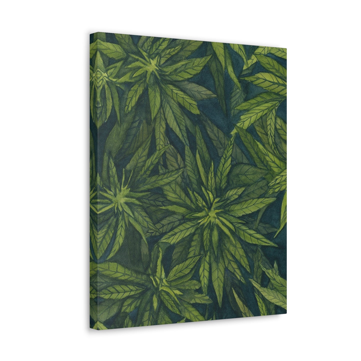 Canvas Gallery Wrap Prints - Green Garden