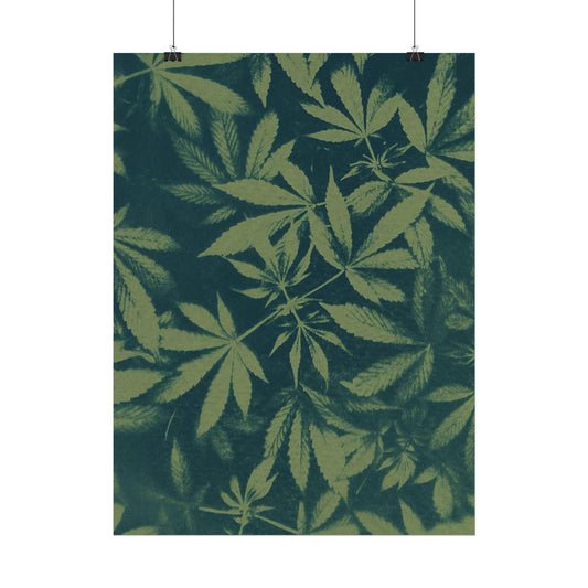 Fine Art Reproductions - Archival, Textured Watercolor Matte Prints - Cannabis Cyanotype on Olive Print