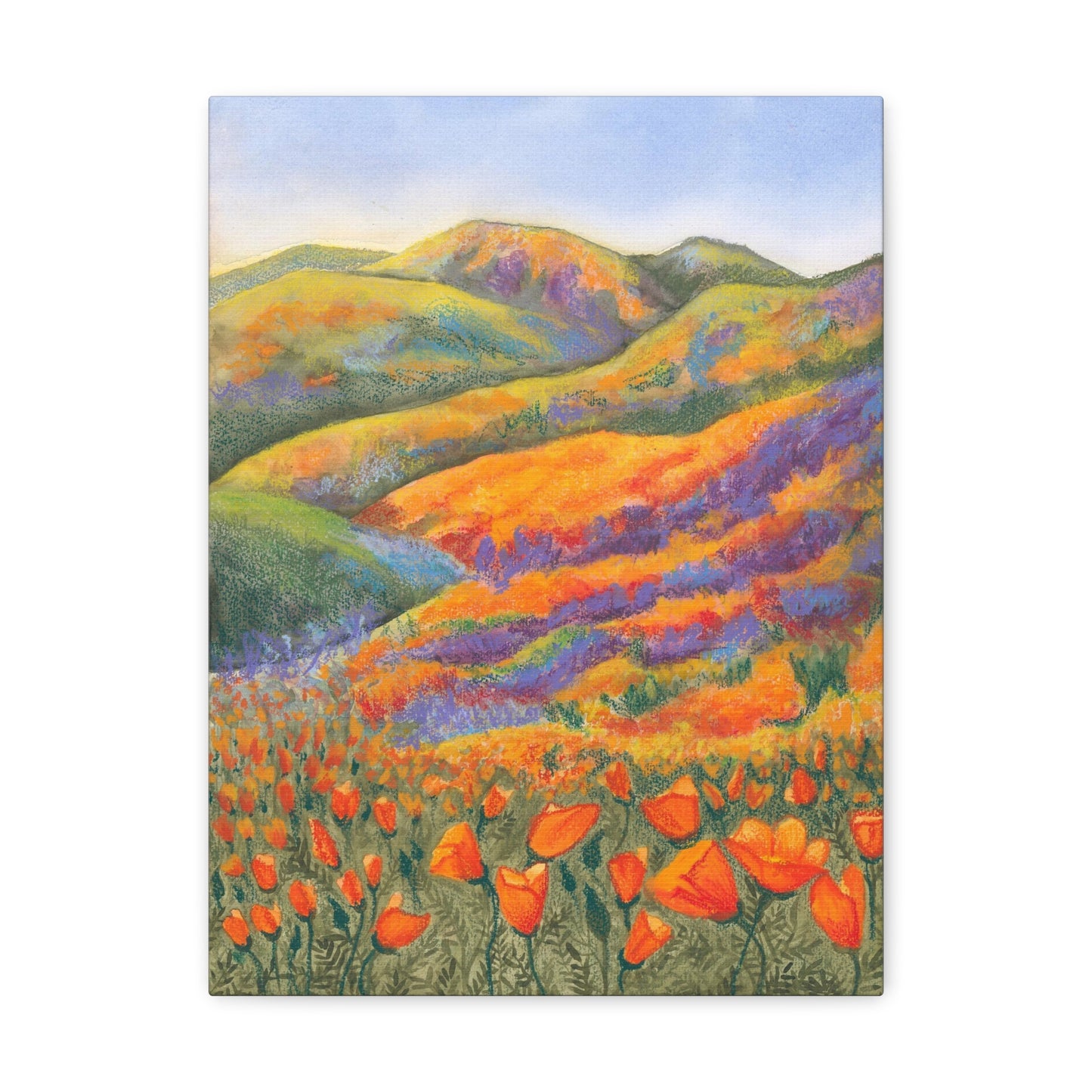 Canvas Gallery Wrap Prints - Superbloom