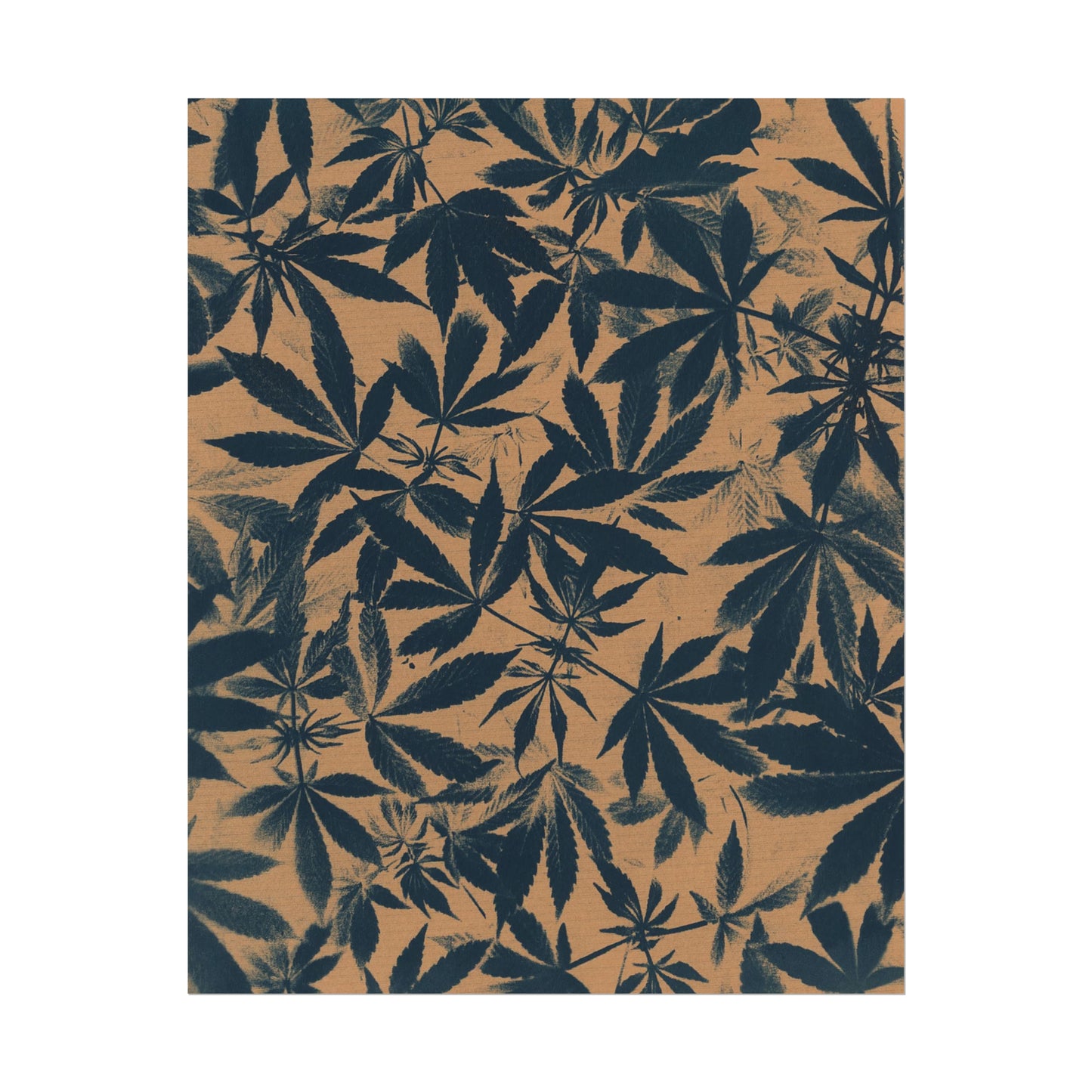 Fine Art Reproductions - Archival, Textured Watercolor Matte Prints - Cannabis Cyanotype on Amber Print