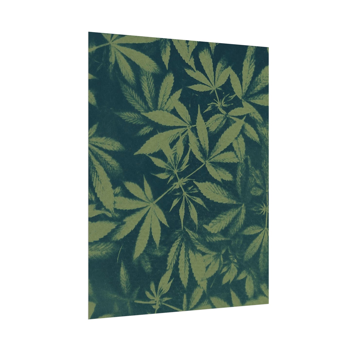 Fine Art Reproductions - Archival, Textured Watercolor Matte Prints - Cannabis Cyanotype on Olive Print