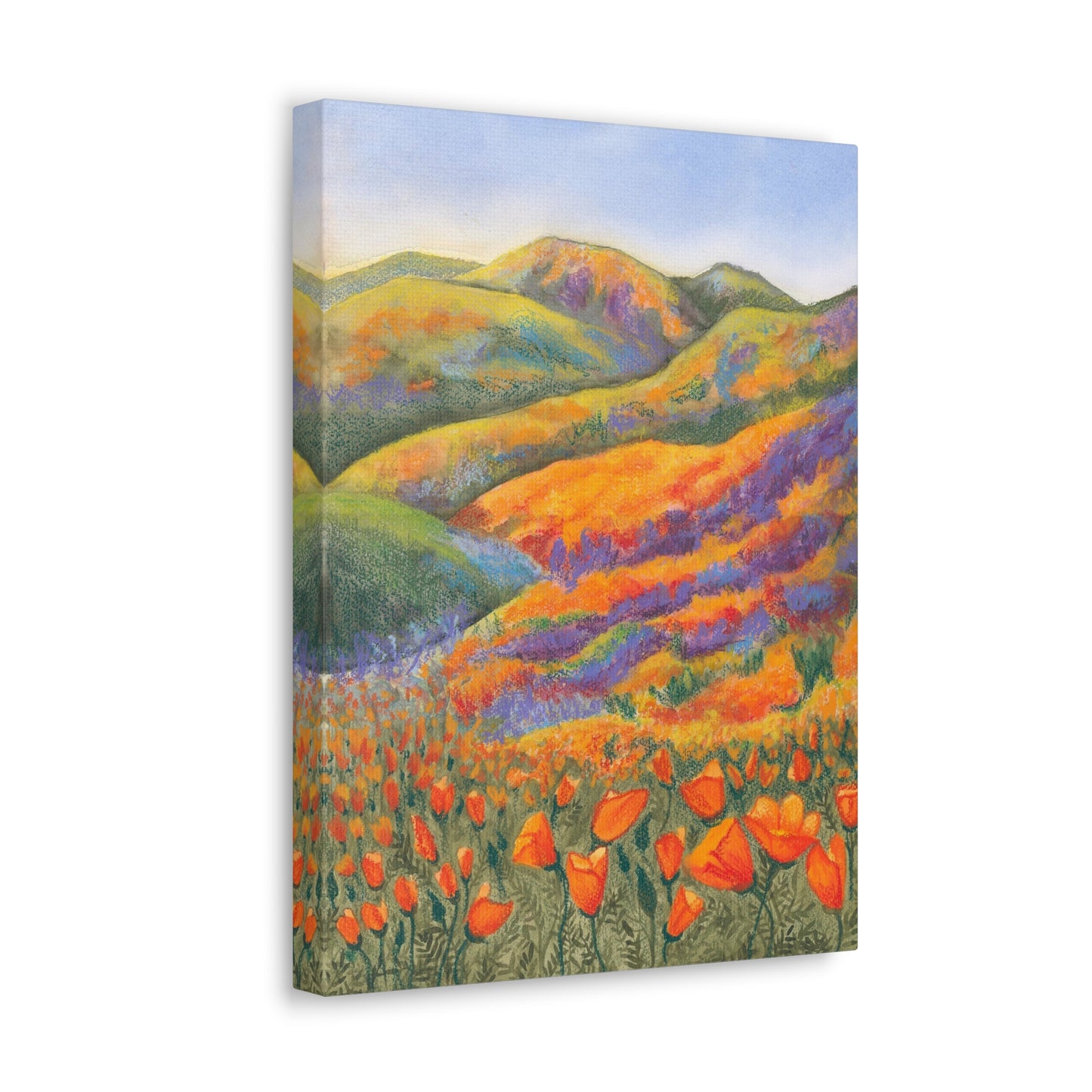 Canvas Gallery Wrap Prints - Superbloom