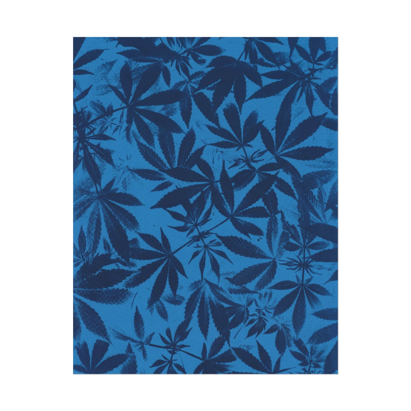 Fine Art Reproductions - Archival, Textured Watercolor Matte Prints - Cannabis Cyanotype on Bright Blue Print