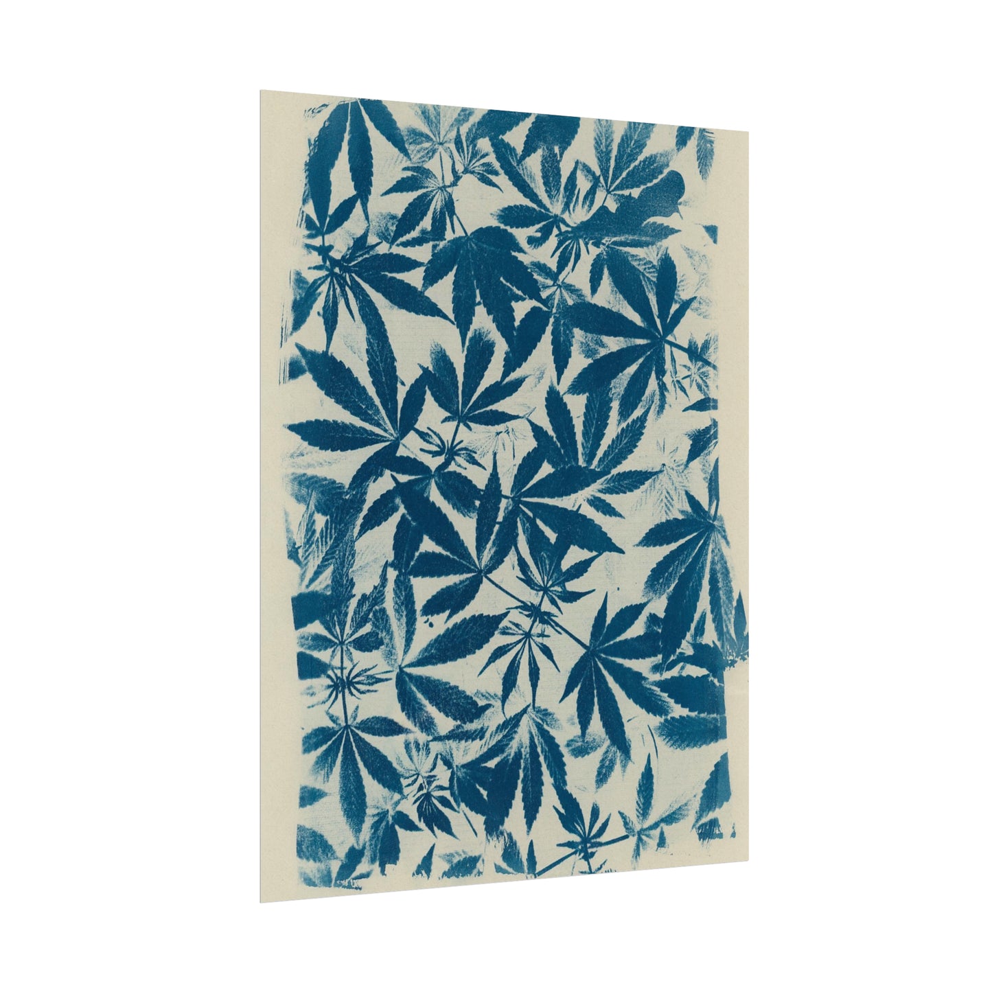 Fine Art Reproductions - Archival, Textured Watercolor Matte Prints - Cannabis Cyanotype on Ivory Print