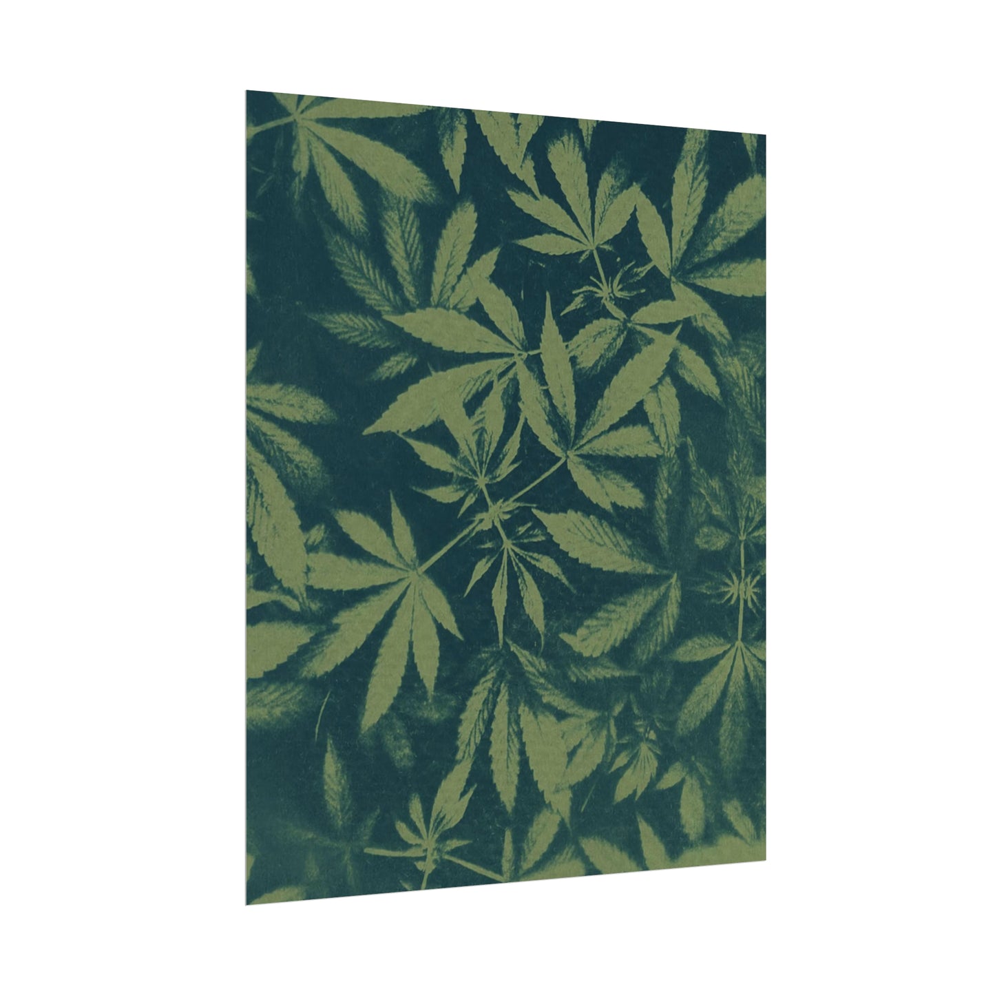 Fine Art Reproductions - Archival, Textured Watercolor Matte Prints - Cannabis Cyanotype on Olive Print