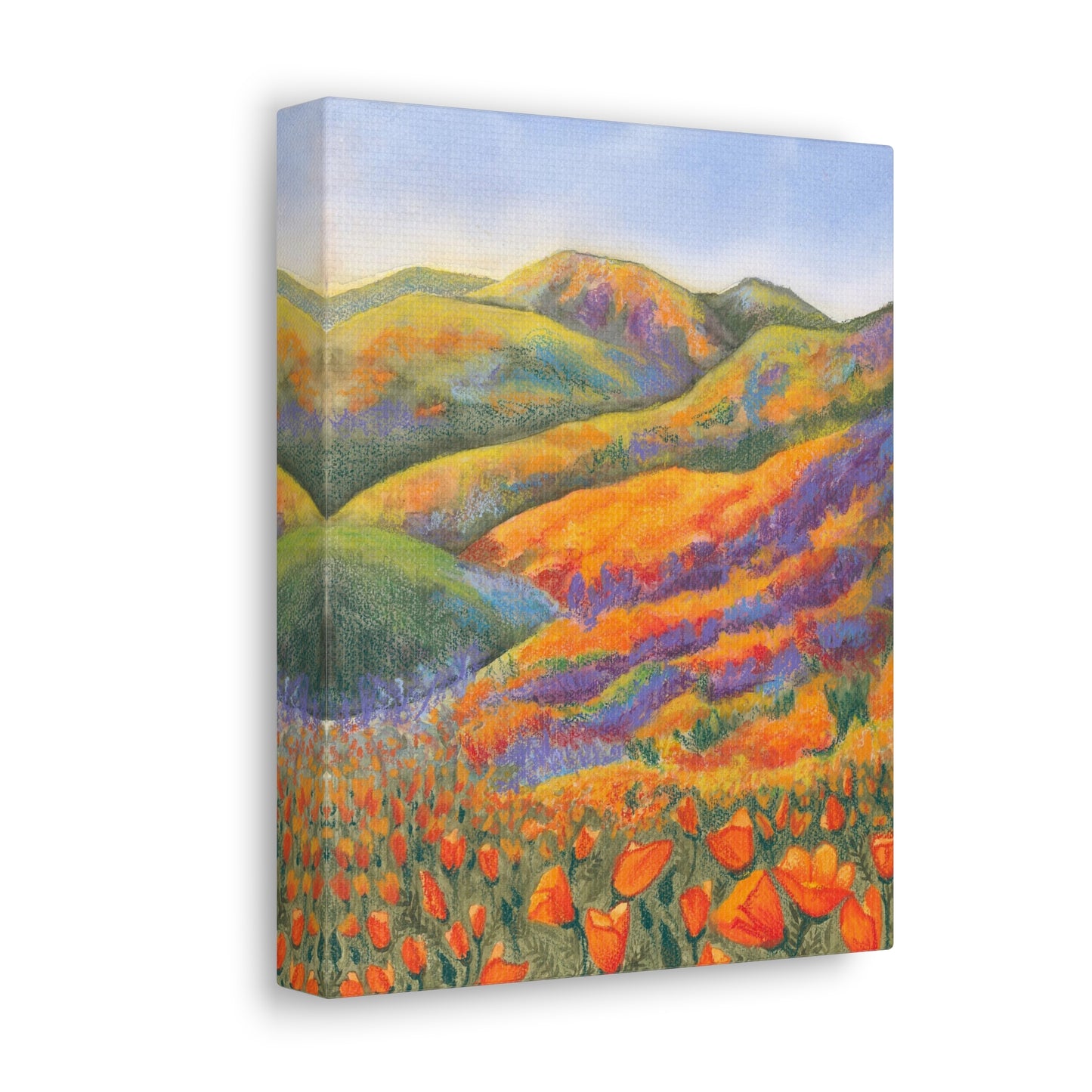 Canvas Gallery Wrap Prints - Superbloom