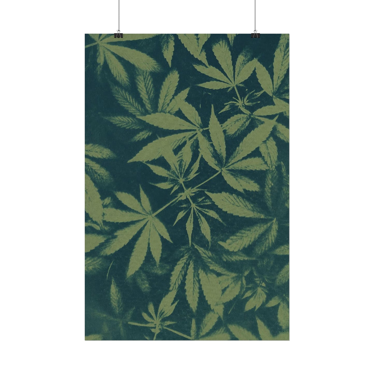 Fine Art Reproductions - Archival, Textured Watercolor Matte Prints - Cannabis Cyanotype on Olive Print