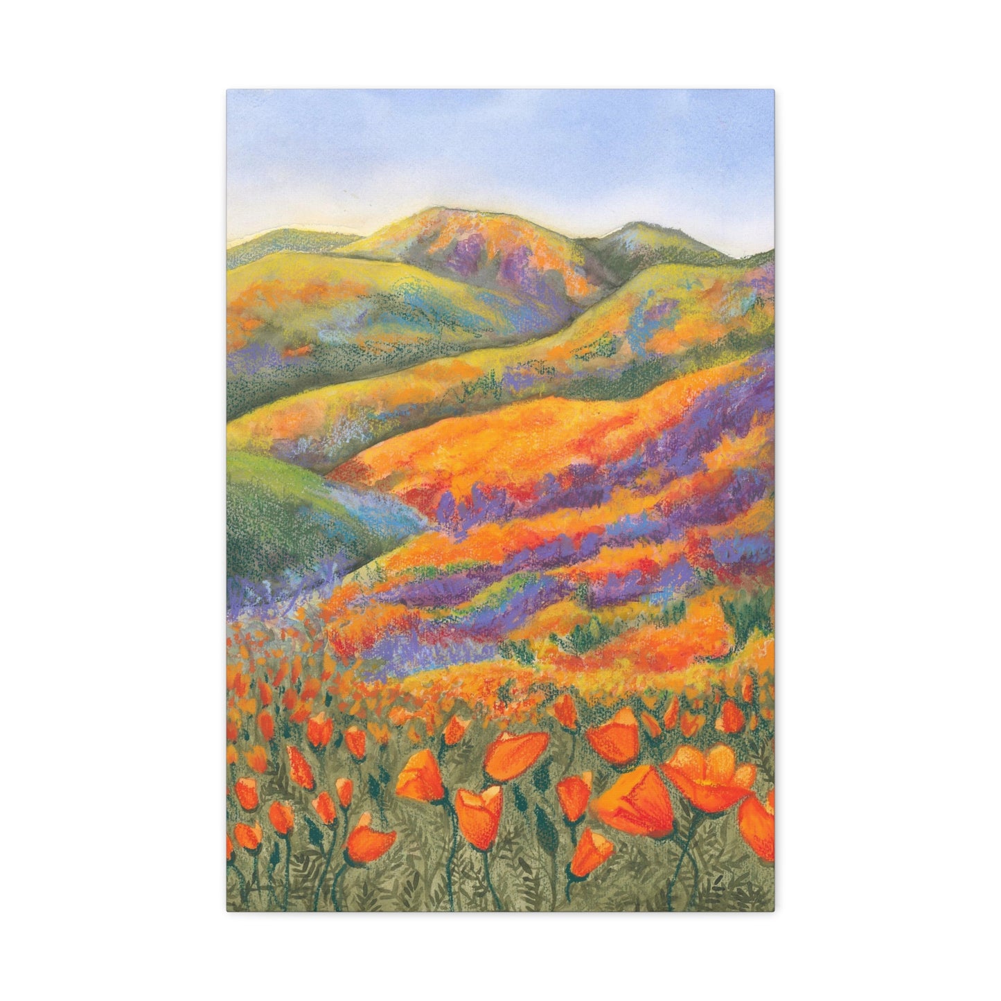 Canvas Gallery Wrap Prints - Superbloom