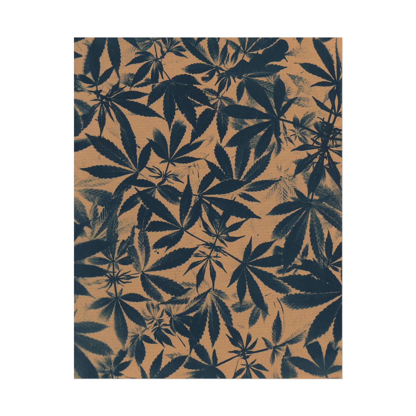 Fine Art Reproductions - Archival, Textured Watercolor Matte Prints - Cannabis Cyanotype on Amber Print