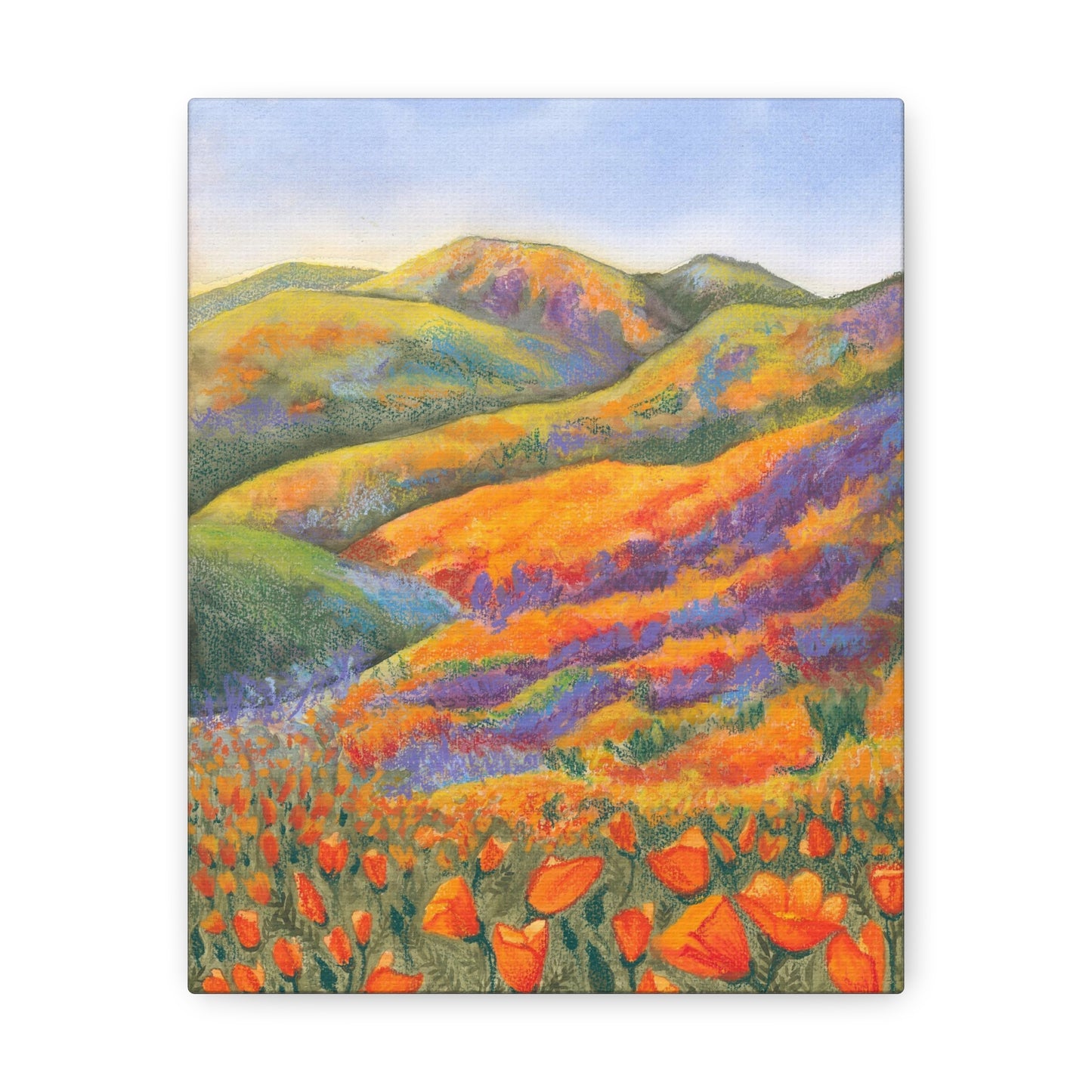 Canvas Gallery Wrap Prints - Superbloom