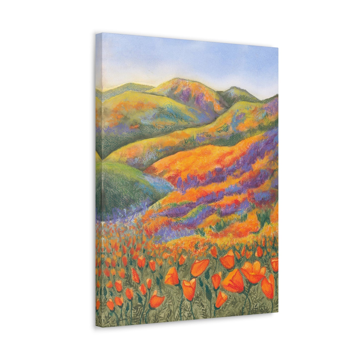 Canvas Gallery Wrap Prints - Superbloom