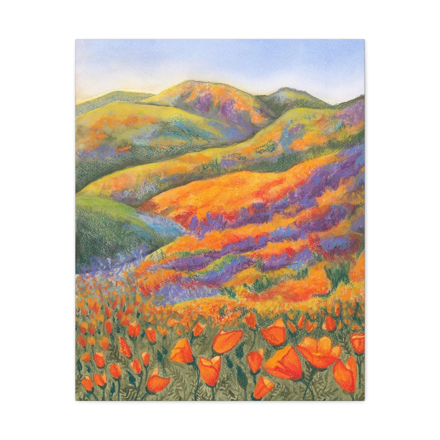 Canvas Gallery Wrap Prints - Superbloom