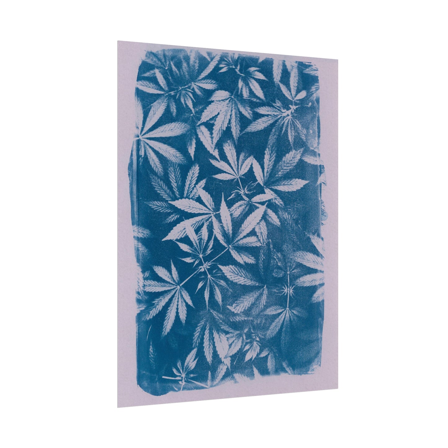 Fine Art Reproductions - Archival, Textured Watercolor Matte Prints - Cannabis Cyanotype on Lavender Print