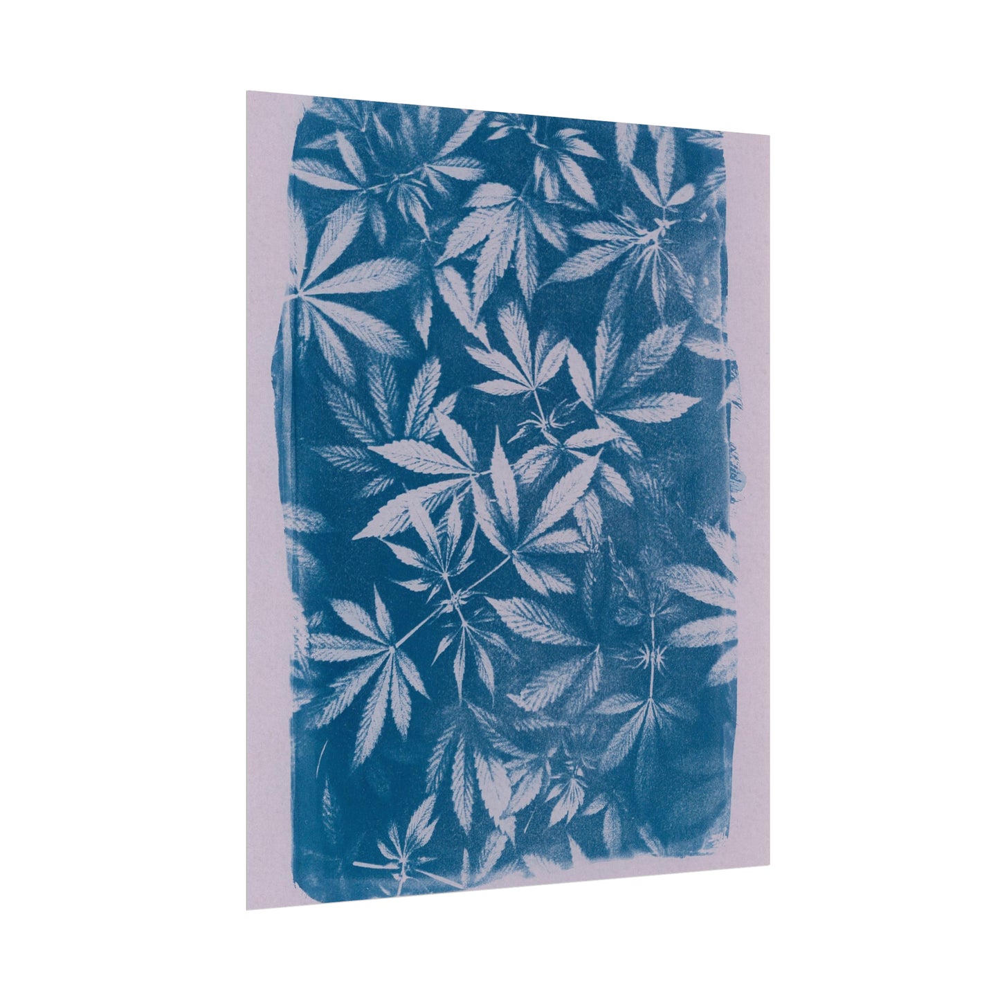 Fine Art Reproductions - Archival, Textured Watercolor Matte Prints - Cannabis Cyanotype on Lavender Print