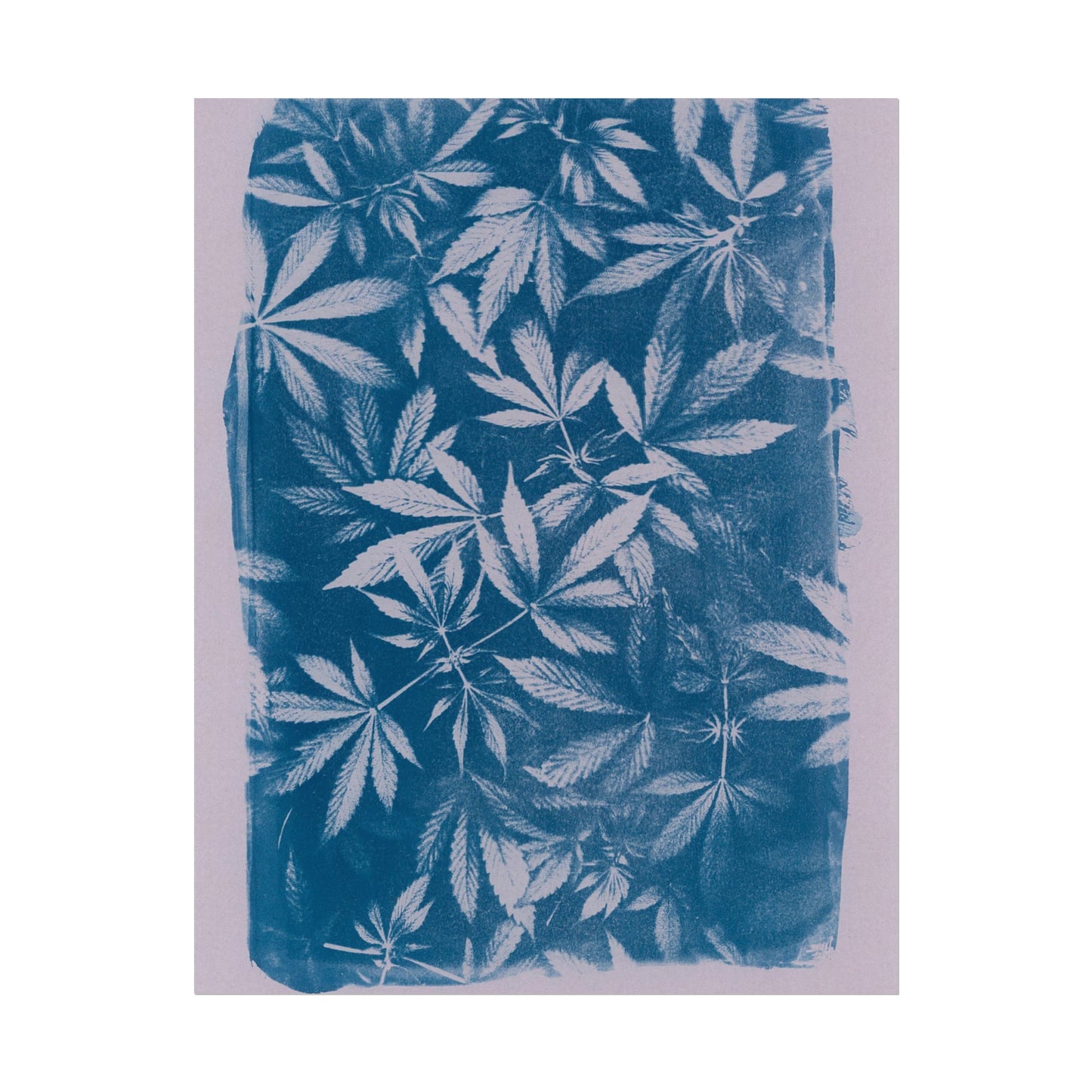 Fine Art Reproductions - Archival, Textured Watercolor Matte Prints - Cannabis Cyanotype on Lavender Print