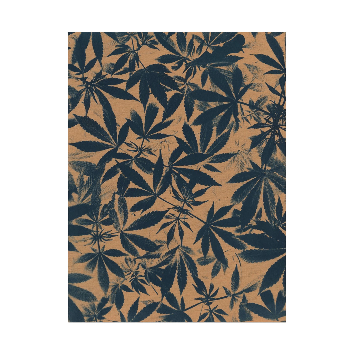 Fine Art Reproductions - Archival, Textured Watercolor Matte Prints - Cannabis Cyanotype on Amber Print