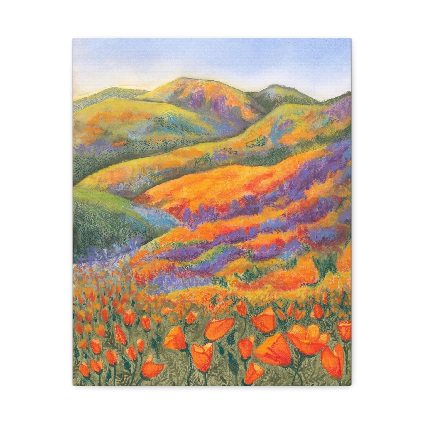 Canvas Gallery Wrap Prints - Superbloom