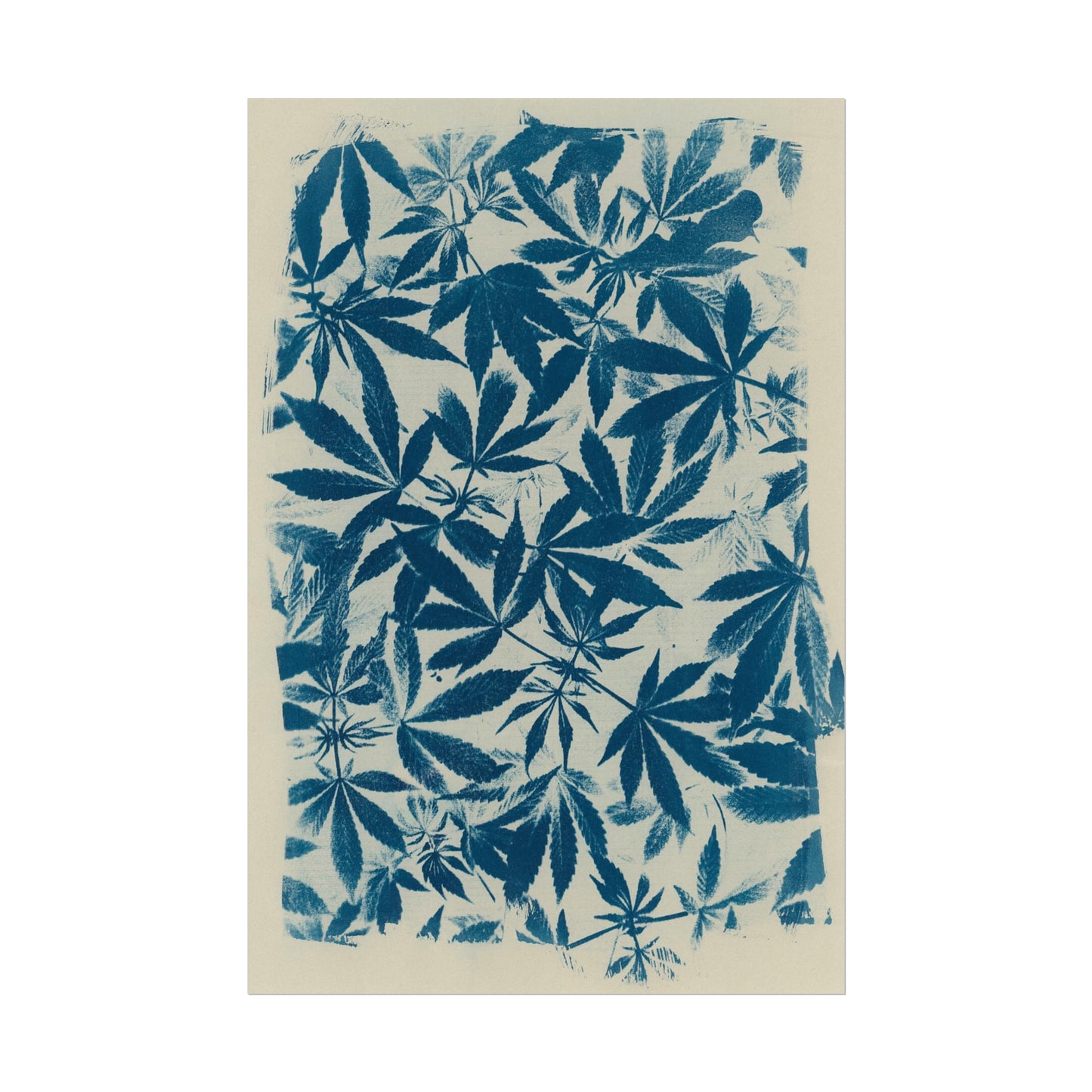 Fine Art Reproductions - Archival, Textured Watercolor Matte Prints - Cannabis Cyanotype on Ivory Print