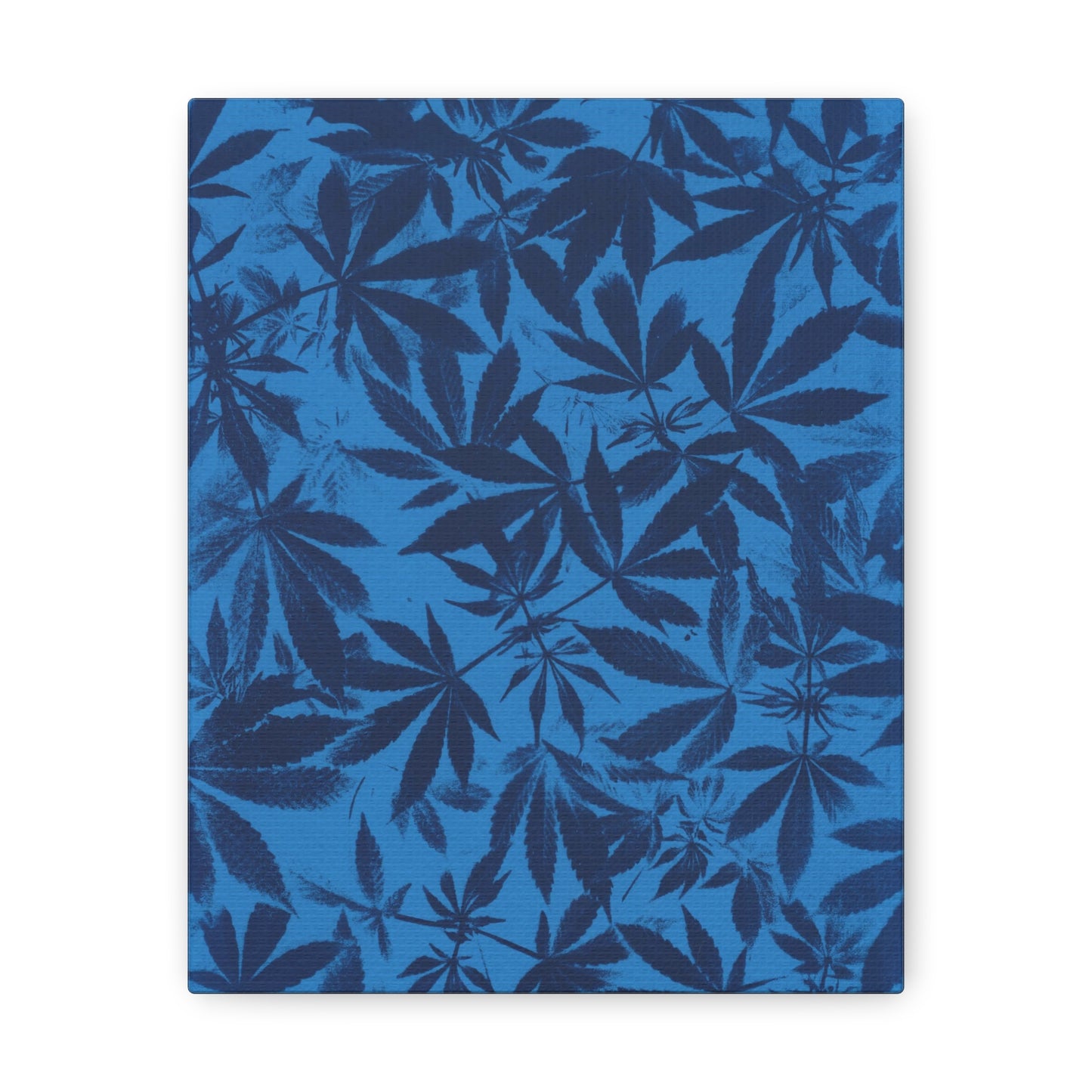 Gallery Wrapped Canvas Print - Cannabis Field Cyanotype on Bright Blue Print (Reproduction)