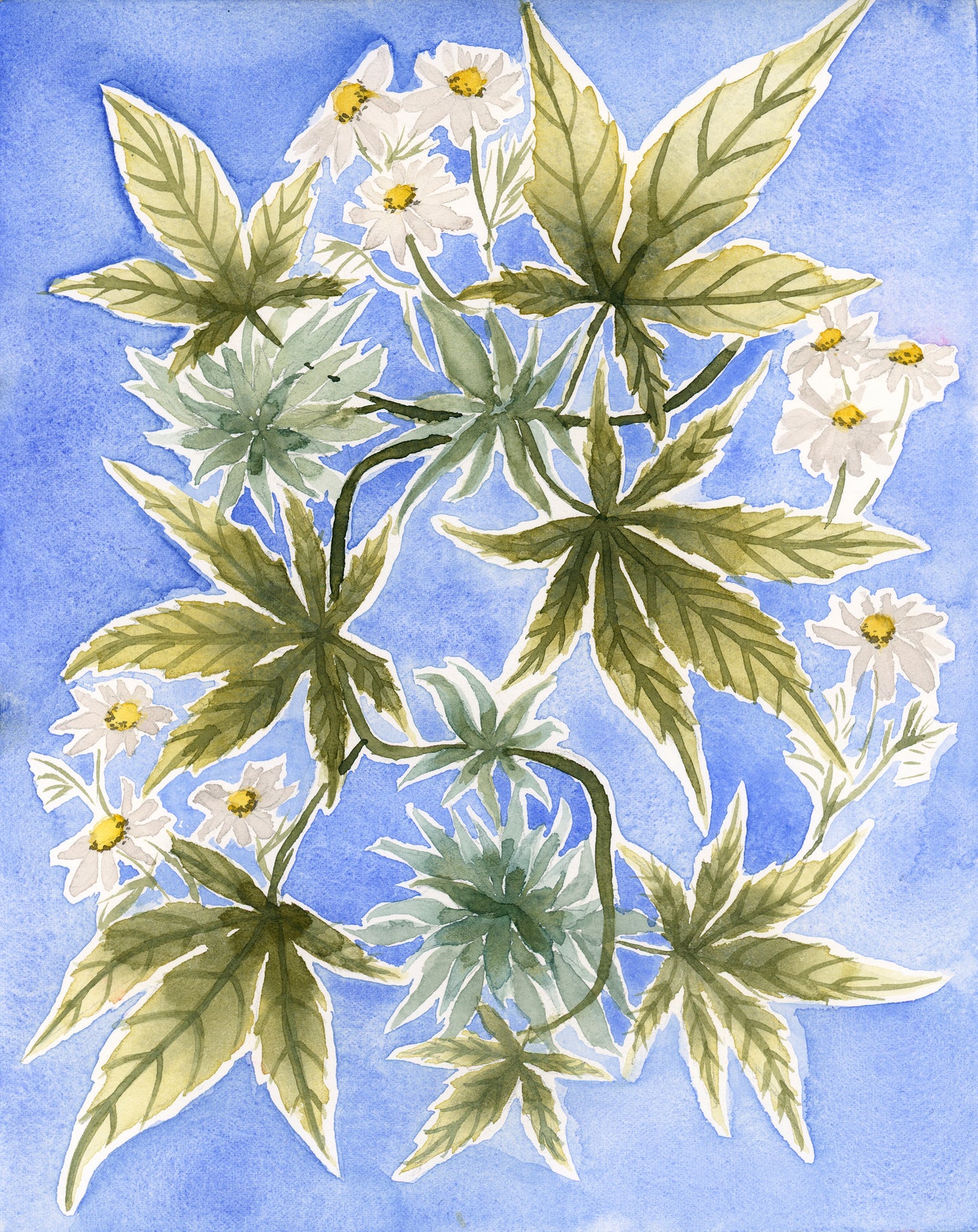 Cannabis & Chamomile Original Watercolor Painting 8x10"