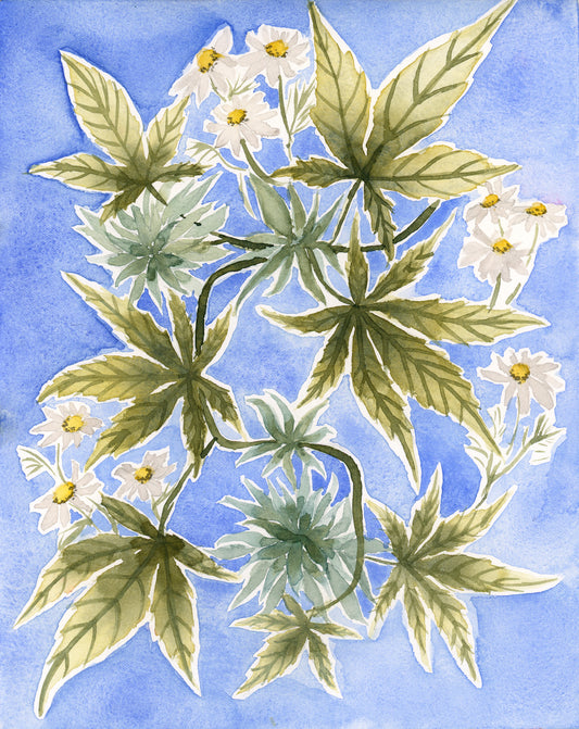 Cannabis & Chamomile Original Watercolor Painting 8x10"