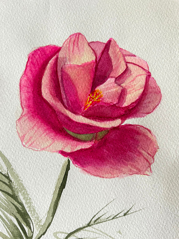 Pink California Poppy Original Watercolor Painting - 8x10"