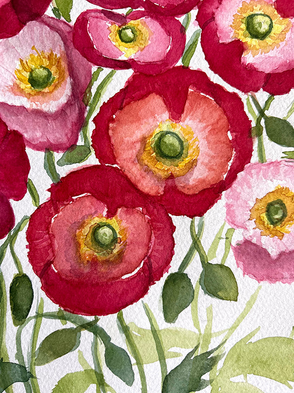 Red Shirley Poppies Original Watercolor Painting - 11x15"