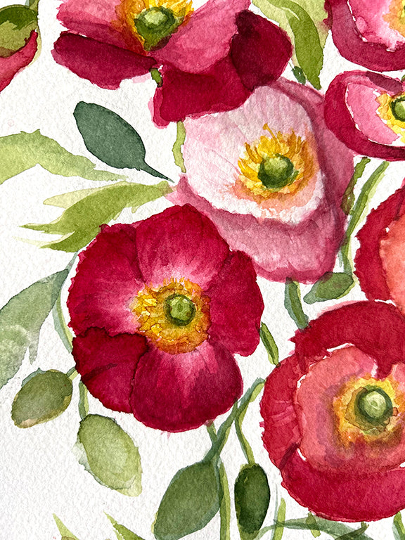 Red Shirley Poppies Original Watercolor Painting - 11x15"