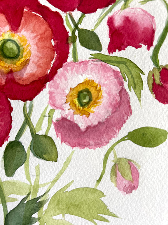 Red Shirley Poppies Original Watercolor Painting - 11x15"