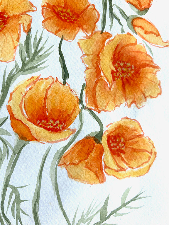 Golden Poppies 1 Original Watercolor Painting - 11x15"