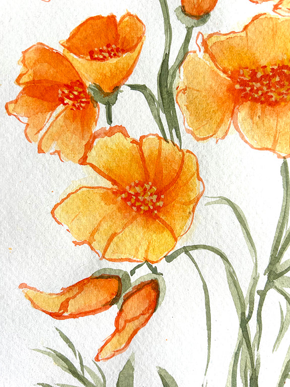 Golden Poppies 1 Original Watercolor Painting - 11x15"